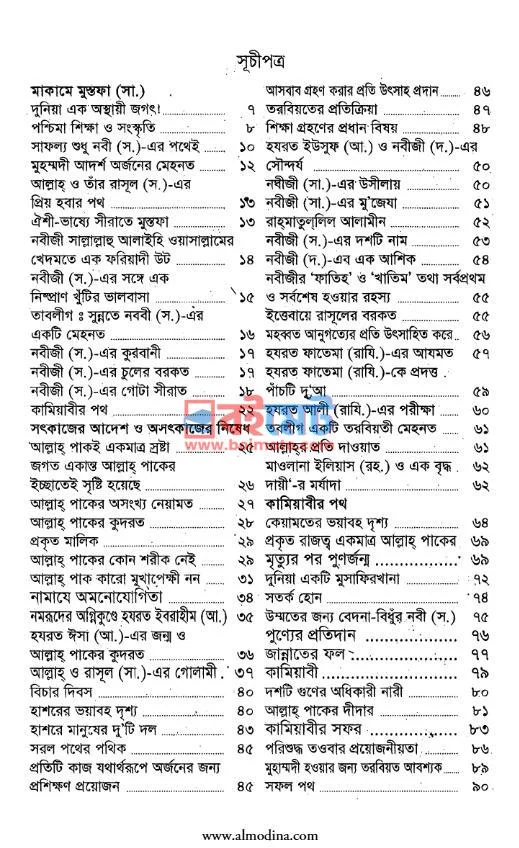 কামিয়াবীর পথ PDF (Kamiyabir Poth) - ১