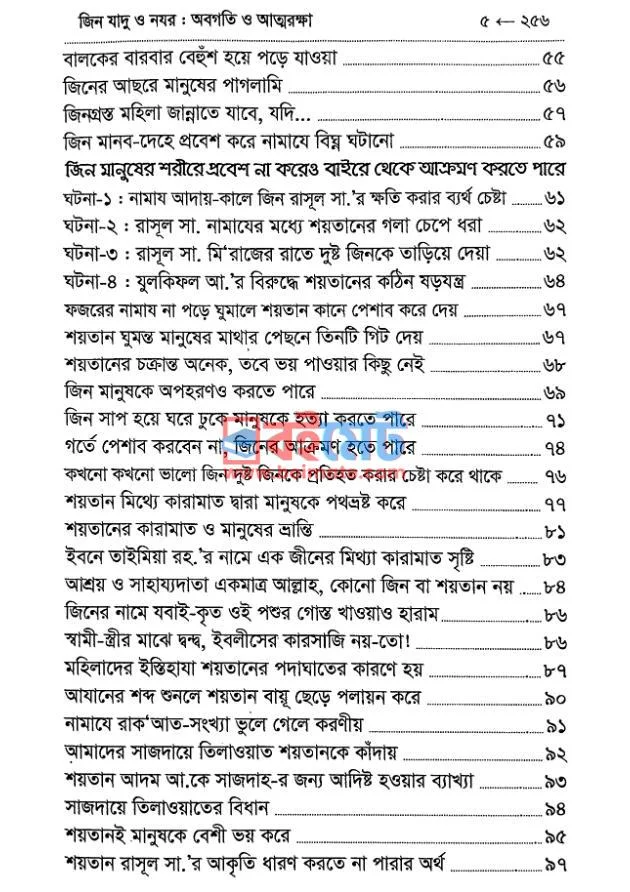 জিন যাদু ও নযর PDF (Jin Jadu O Nojor) - ২