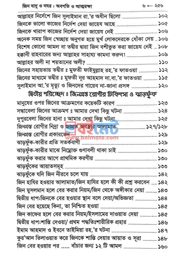 জিন যাদু ও নযর PDF (Jin Jadu O Nojor) - ৩
