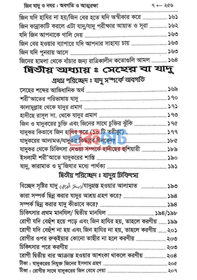 জিন যাদু ও নযর PDF (Jin Jadu O Nojor) - ৪