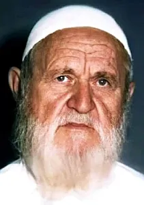 মোহাম্মদ নাসিরউদ্দিন আলবানী