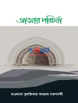 আত্মার পরিচর্যা PDF বই - যুলফিকার আহমদ নকশবন্দী